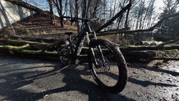 Profilbild